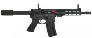 Windham Weaponry AR15 223 Remington/5.56 NATO Pistol