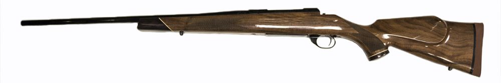 Weatherby vanguard 2 stock options