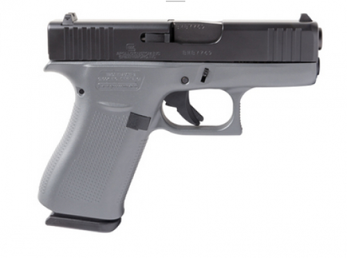 Talo Exclusive Glock G17 G4 9mm Stainless Slide - Axolotl Arms