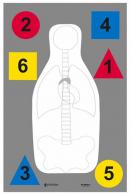 Action Target Muli-Purpose Anatomy and Command Silhouette Paper Target 23" x 35" 100 Per Box - DTANTQA100
