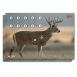 Allen EZ Aim Four Color Paper 23" x 35" Whitetail Deer 2 Per Pack - 15286