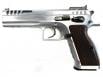 Italian Firearms Group (IFG) Stock Master 45 ACP 4.75" 10+1 Hard Chrome Black Polymer Grip - TFSTOCKM45