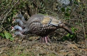 Higdon Outdoors XS Trufeeder Motion Turkey Hen Species Multi Color Features TruMotion System - 63171