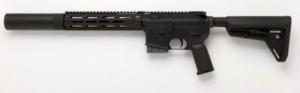 Tactical Solutions TSAR-300 Complete Semi-Automatic 300 AAC Blackout/ - TSARC300K