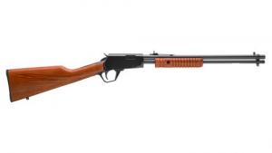 Rossi Gallery .22 LR Caliber with 15+1 Capacity, 18" Barrel, Polished Black with Father And Son Hunting Scene Engra - RP22181WDEN16