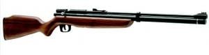 Benjamin .177 Cal. Dual Fuel Air Rifle w/Black Finish & Hard - BP1K77GP