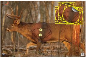 Eze-Scorer With Shoot-N-C Overlay Whitetail Deer Targets 23x35 Inch Two Folded Deer With Four 8-Inch Overlays - 37431