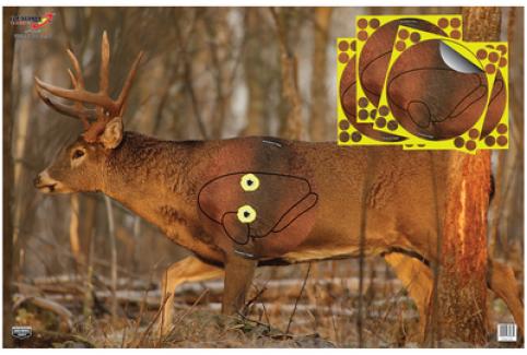 Eze-Scorer With Shoot-N-C Overlay Whitetail Deer Targets 23x35 Inch Two Folded Deer With Four 8-Inch Overlays - 37431