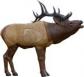 Rinehart 1/3 Size Elk Target - 23411