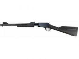 Rossi Gallery Squirrel 22 Long Rifle Single Shot Rifle - RP22181SYEN04