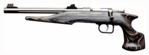 Chipmunk Hunter Stainless/Silver 22 Long Rifle Pistol - 40103C