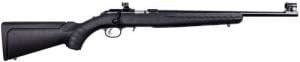 Ruger American Rimfire Compact 22 LR 18" Peep Sights 10+1 - 8328R