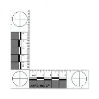 ABFO No. 2 Photomacrographic Scale - 6-3875