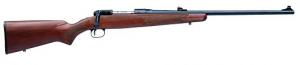 Savage 10 10GY Hunter .243 Winchester Youth Model - 17461