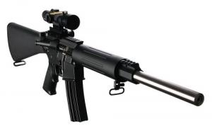 DPMS Panther Arms Sweet 16 .223 Rem Semi Auto Rifle - RFA2B16