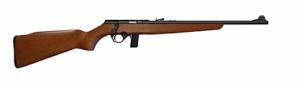 Mossberg & Sons 802 Plinkster .22 LR Bolt Action Rifle - 38218