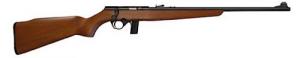Mossberg & Sons 802 Plinkster .22 LR Bolt Action Rifle - 38222