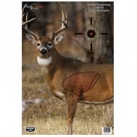 Birchwood Casey Pregame Animal Targets Deer 16.6"x24" - 35401