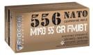 Main product image for Fiocchi Training Dynamics 5.56x45mm NATO 55 gr Full Metal Jacket Boat-Tail (FMJBT) 50 Bx/ 20 Cs
