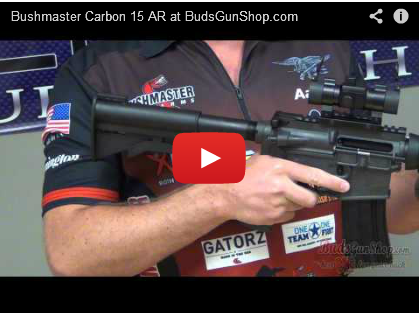 https://www.budsgunshop.com/catalog/images2/bushmastervid.png