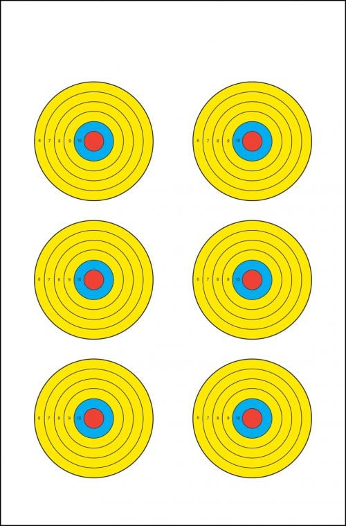 Action Target High Visibility Fluorescent 6 Bulls-Eye Bullseye Paper Target 17.50 x 23 100 Per Box