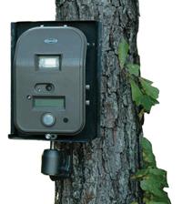 MOULTRIE CAMERA TREE MOUNT - MFHUCM