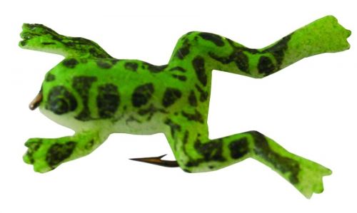 Creme Small Green Frog