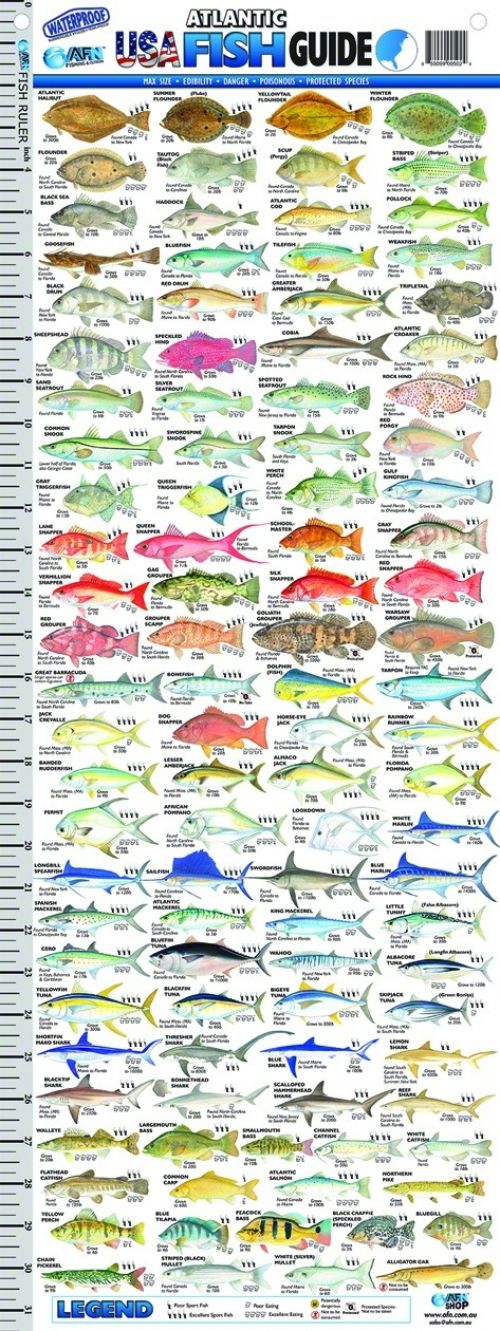 Florida USA Fish Guide Ruler | AC5024 - Buds Gun Shop