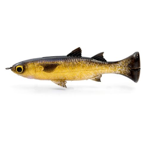 Savage Gear 2569 Pulse Tail Mullet Golden 6