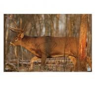 Birchwood Casey EZE-Scorer Paper 23" x 35" Whitetail Deer 2 Per Pack - 37481