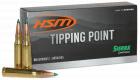 Main product image for HSM Tipping Point 6mm ARC 95 gr 20 Per Box/ 25 Cs