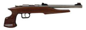 Crickett Chipmunk Hunter Stainless/Silver 22 Long Rifle Pistol - 40101