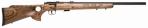 Winchester M70 FTWT SS 243