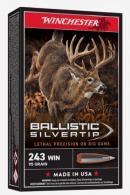 Winchester Silvertip Rapid Controlled Expansion Polymer 243 Winchester Ammo 20 Round Box - SBST243A Winchester Silvertip Rapid Controlled Expansion Polymer 243 Winchester Ammo 20 Round Box - SBST243A