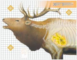 X-Ray Elk Target 6 Per Pack - 45904