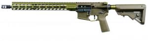 Great Lakes Firearms AR-15 Battleworn America .223 Wylde Semi Auto Rifle