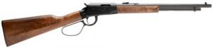 Savage REVEL Classic .17HMR Lever Action Rifle - 46200