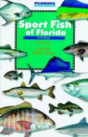 Sport Fish Of Florida - SFF