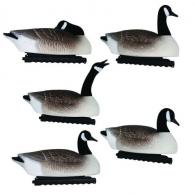 2-in1 Canada Goose Floater Decoys - 01-100-0008