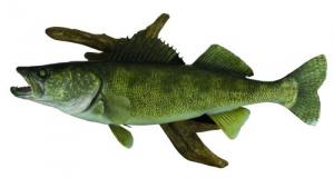 Driftwood Fish Replicas - WAL29.0-DW