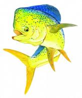 Fish Decals - ST006