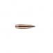 Match Burner Bullet .22 Caliber .224 Diameter 52 Grain Flat Base