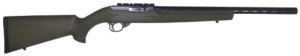 Ruger TGT .22 LR Semi-Auto Rifle - 1179