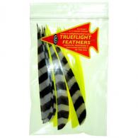 Trueflight Feather Combo Pack Barred/Chartreuse 5 in. LW Shield Cut - 21937