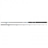 Daiwa Beefstick SSS Rod 10 ft 2 pc - BFSSS1002MFS