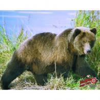 DuraMesh Archery Target Grizzly Bear 25 in. x 32 in. - DM203