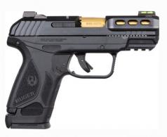 Ruger Security 380 ACP Semi Auto Pistol