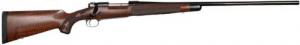 Winchester Model 70 AAA Claro Walnut .264 Win Mag Limited 1 of 129 Production - 535245229