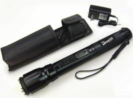 PSP Zap Stun Gun/Flashlight Portable Lightweight 2 Mil - ZAPEN