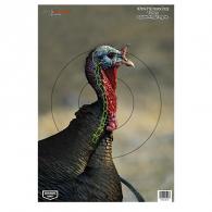 Birchwood Casey Pregame Animal Targets Turkey 12"x18" - 35403